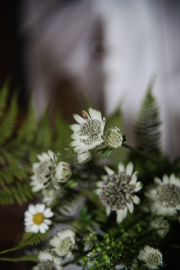 TF-Hochzeit_Hochzeitsreportage-108
