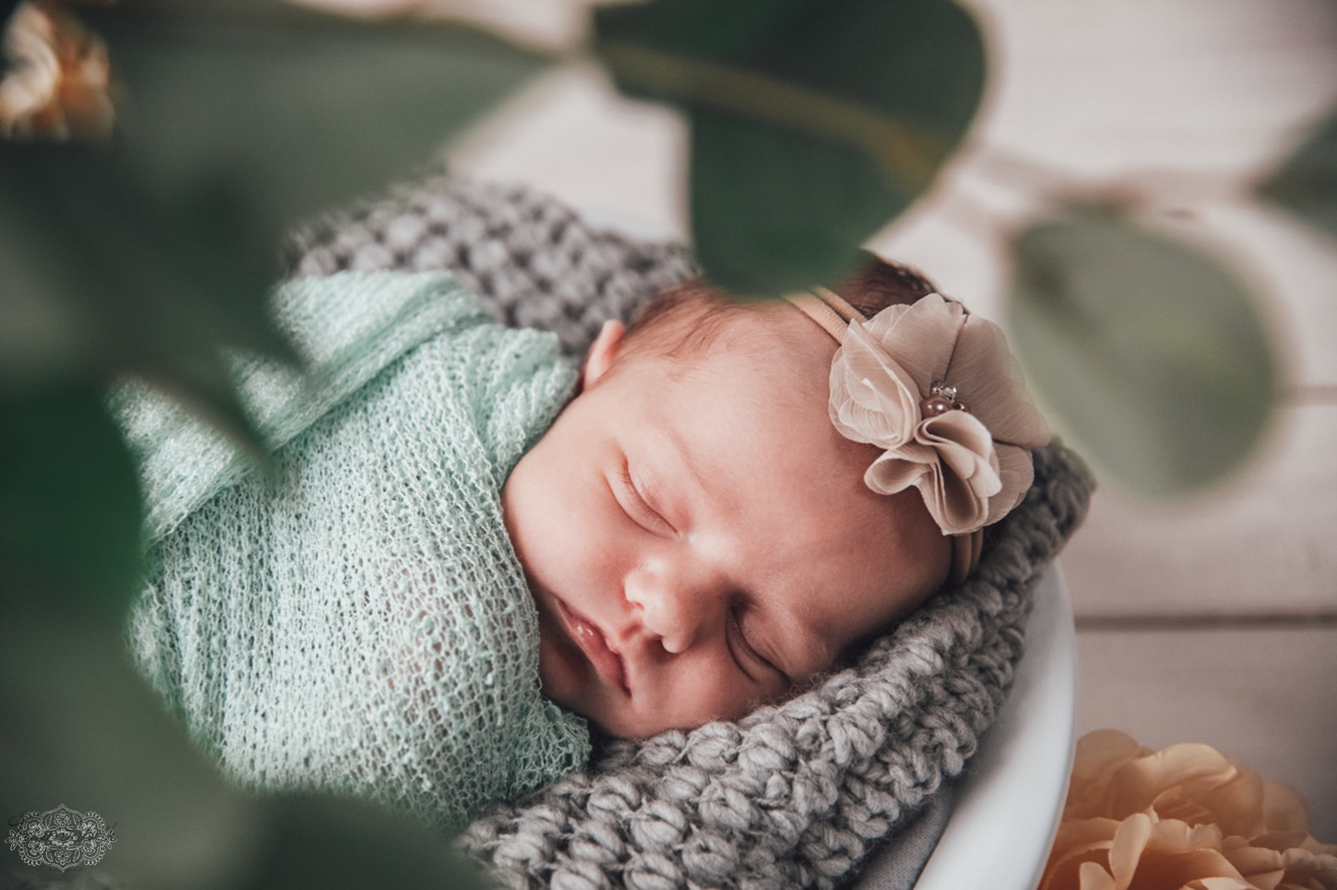 Newbornshooting-Ella_befiltert-web_47